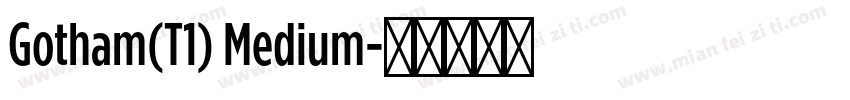 Gotham(T1) Medium字体转换